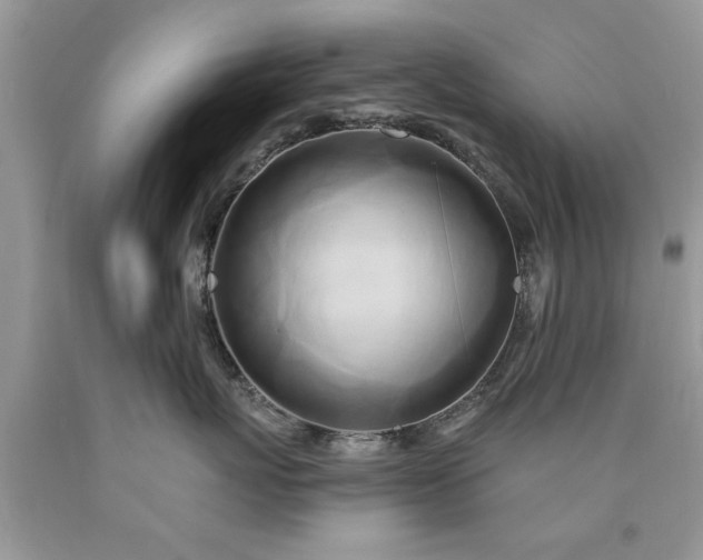 X0000090500767200707280001