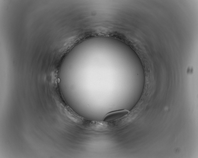 X0000090500768200707280001