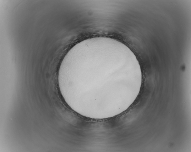 X0000090500769200707280000