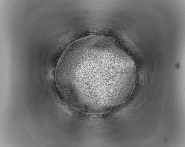 X0000090500770200707280000