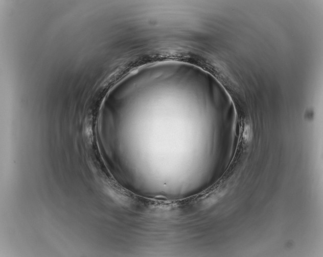 X0000090500771200707280000