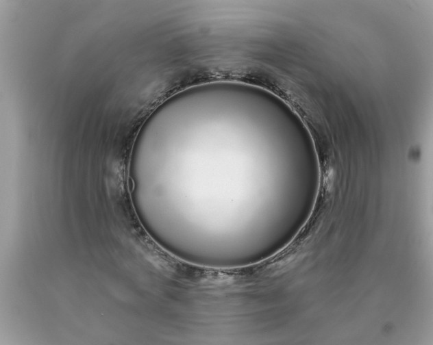 X0000090500772200707280000