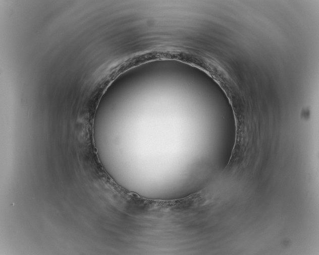 X0000090500773200707280000