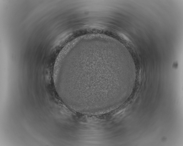 X0000090500774200707280000