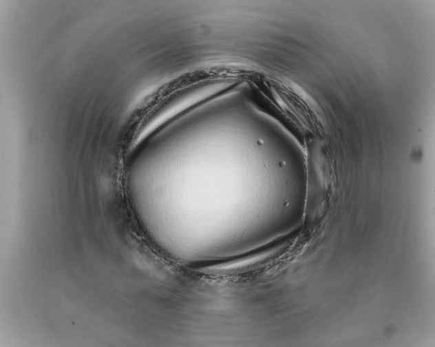 X0000090500775200707280000