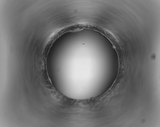 X0000090500776200707280000