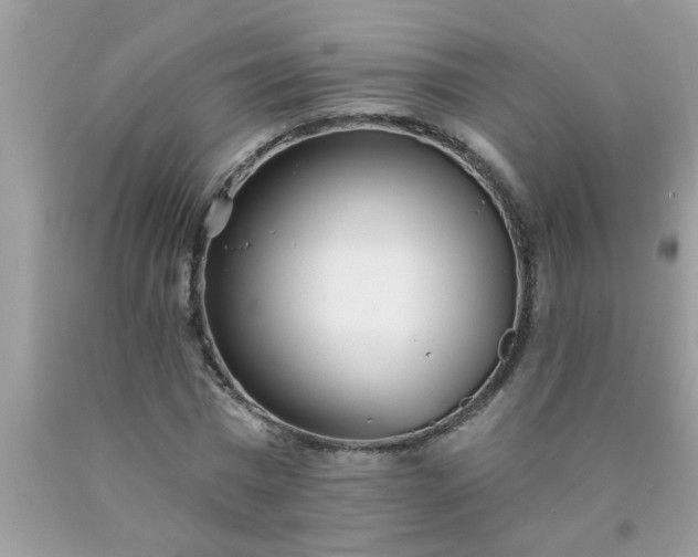 X0000090500777200707280000