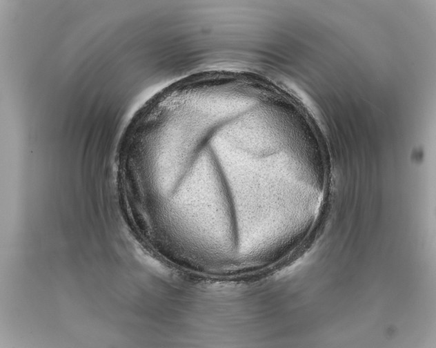 X0000090500779200707280000