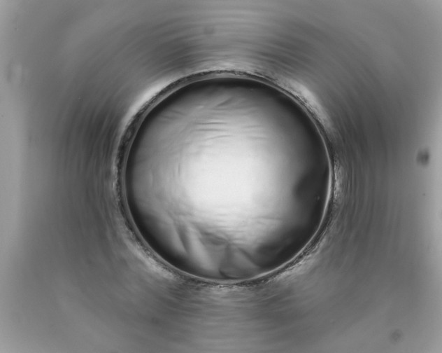 X0000090500780200707280000