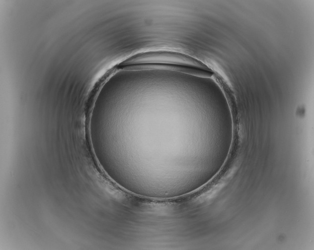 X0000090500781200707280000