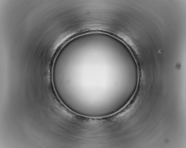 X0000090500782200707280000