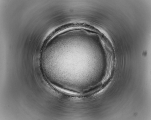 X0000090500783200707280000