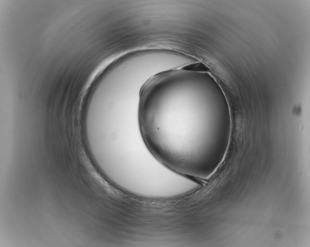 X0000090500784200707280000