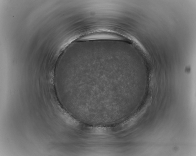 X0000090500785200707280000