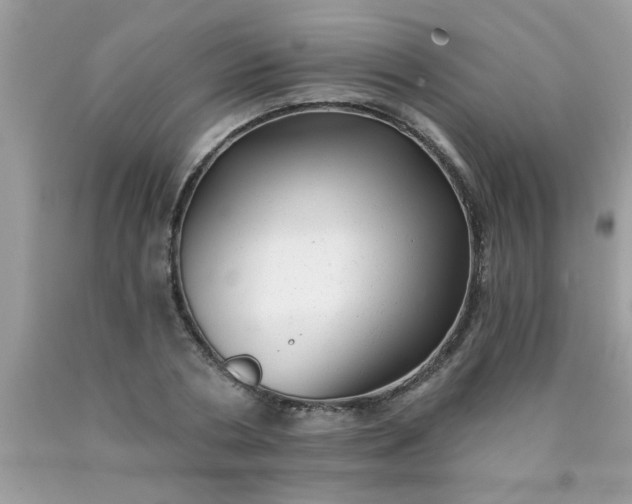 X0000090500786200707280000