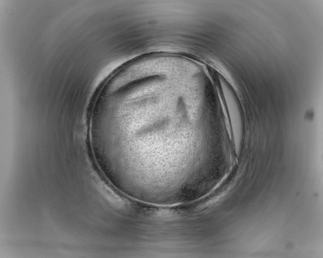 X0000090500787200707280000