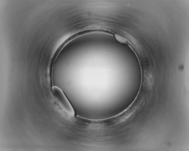 X0000090500788200707280000