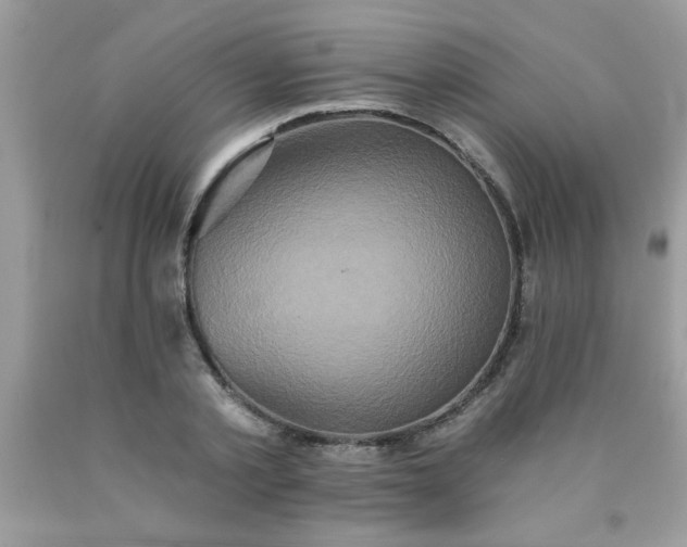 X0000090500789200707280000