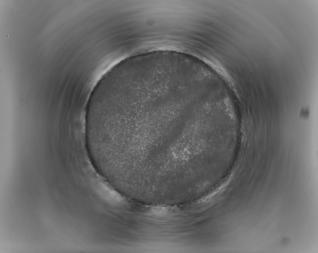 X0000090500790200707280000