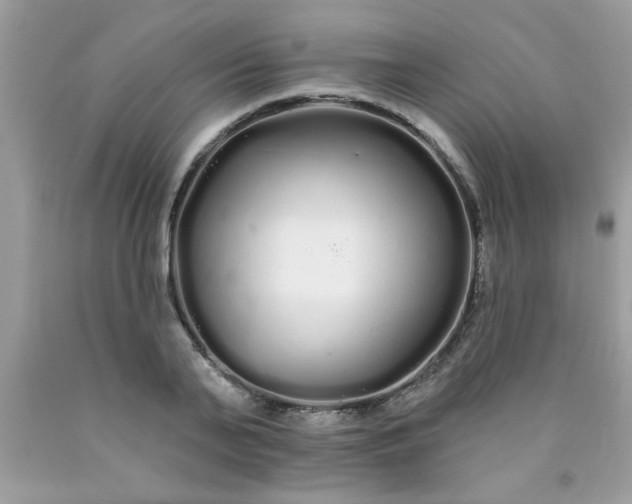 X0000090500791200707280000