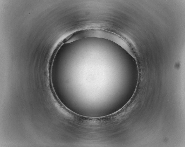 X0000090500792200707280000