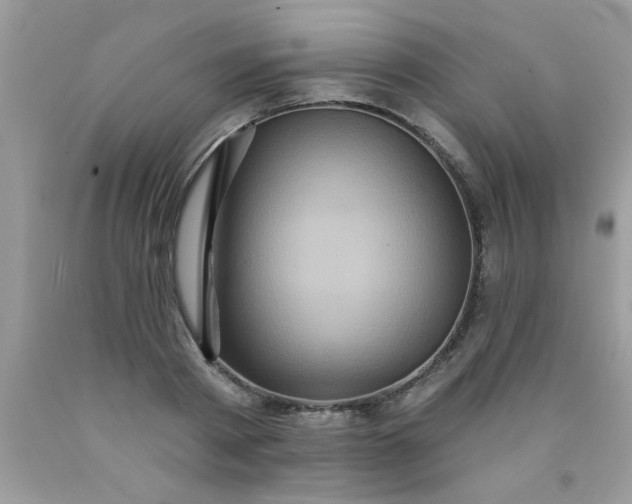 X0000090500793200707280000