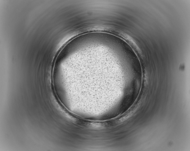 X0000090500794200707280000