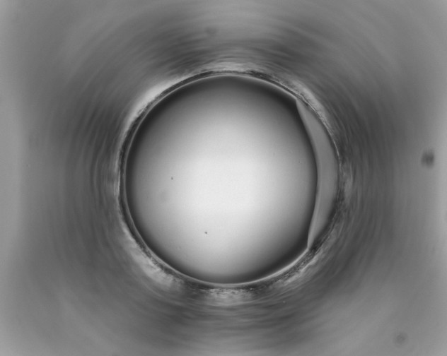 X0000090500795200707280000