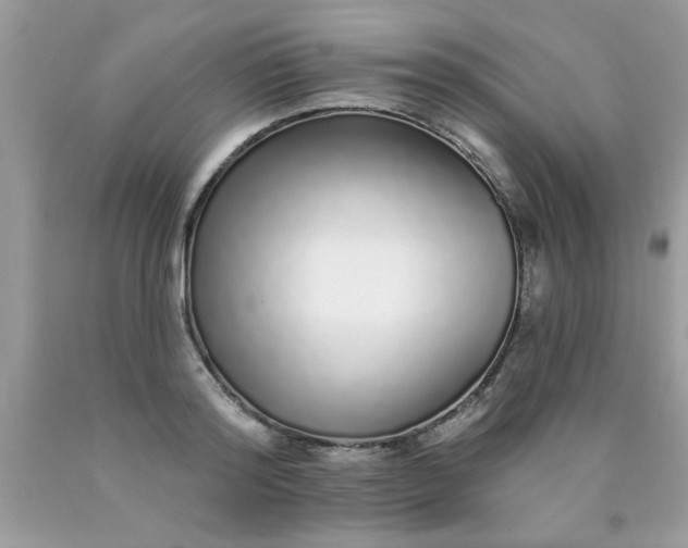 X0000090500796200707280000