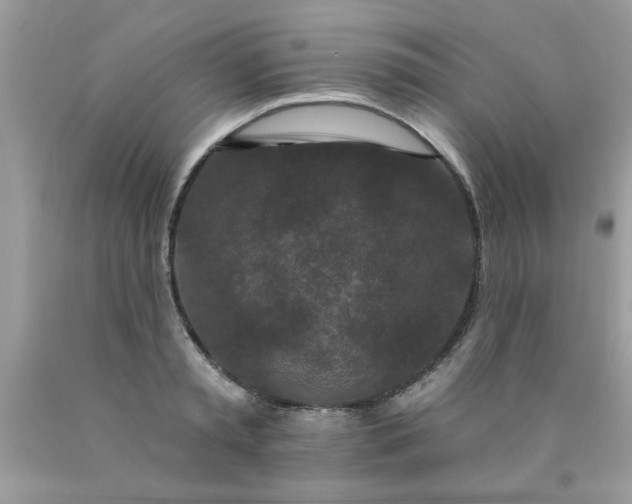 X0000090500797200707280000