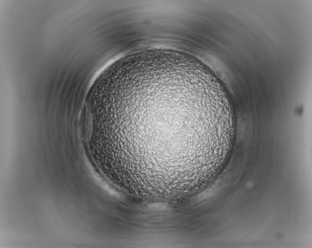 X0000090500798200707280000