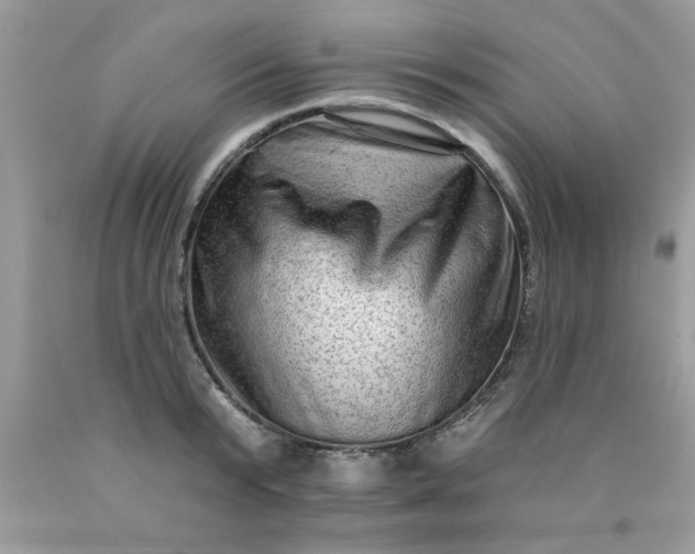 X0000090500799200707280000