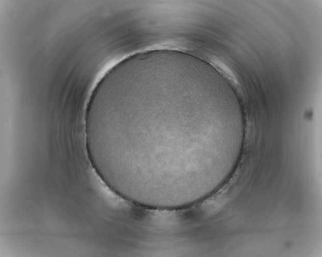 X0000090500800200707280000