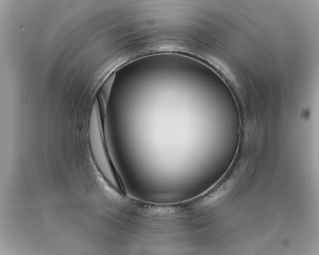 X0000090500801200707280000