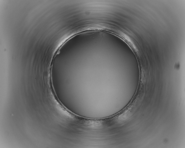 X0000090500802200707280000