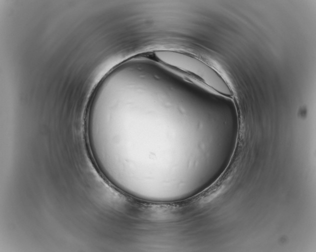 X0000090500803200707280000