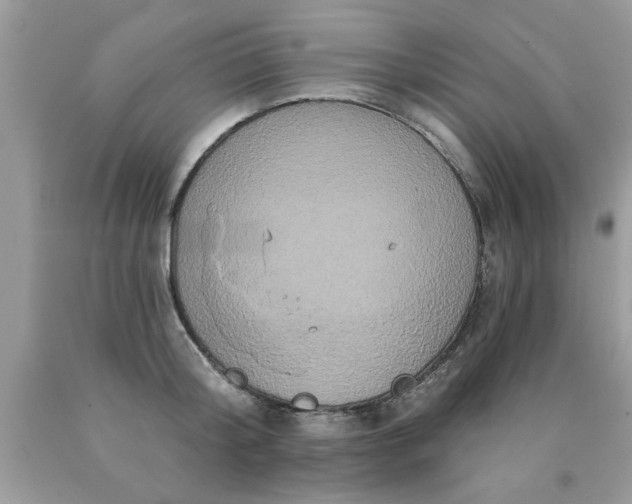 X0000090500804200707280000