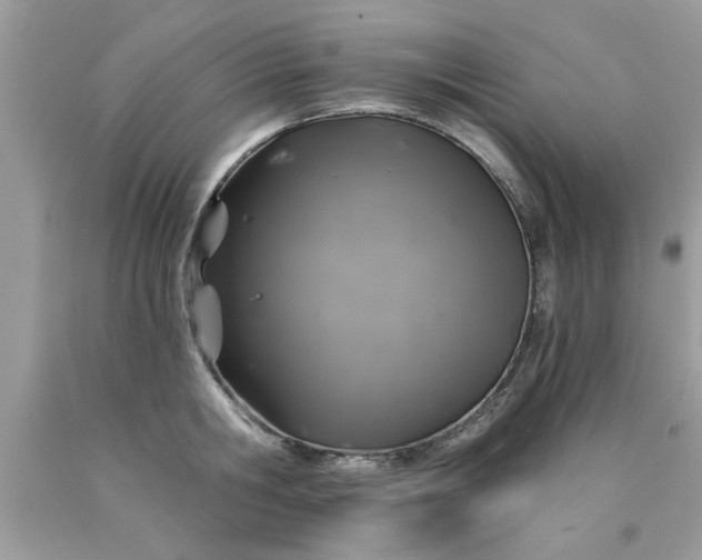 X0000090500806200707280000