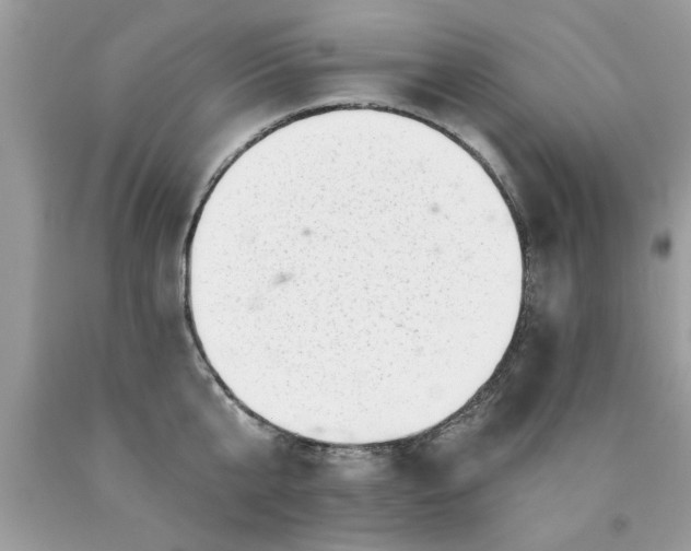 X0000090500807200707280000