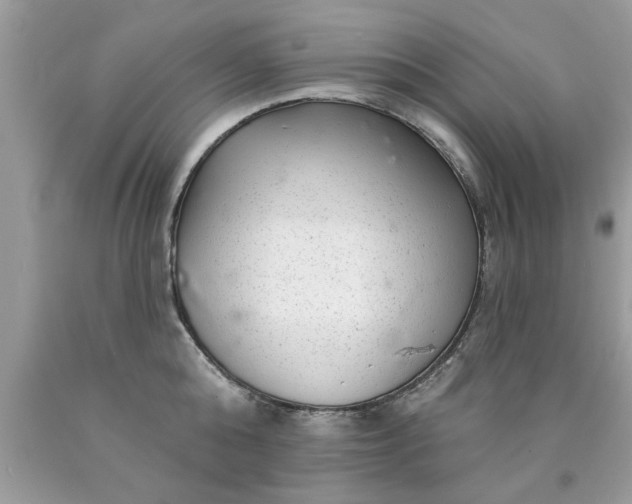 X0000090500808200707280000