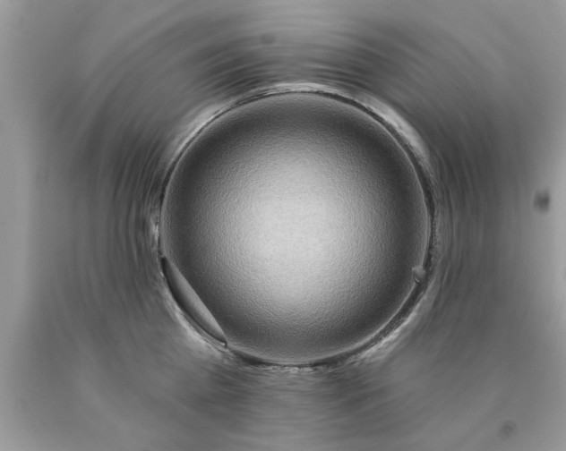 X0000090500809200707280000