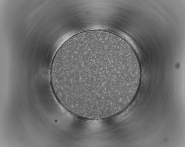 X0000090500810200707280000