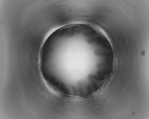 X0000090500811200707280000