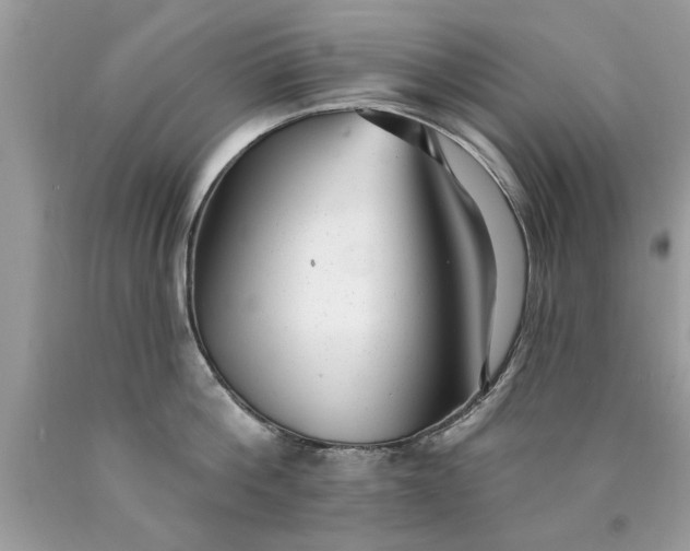 X0000090500812200707280000