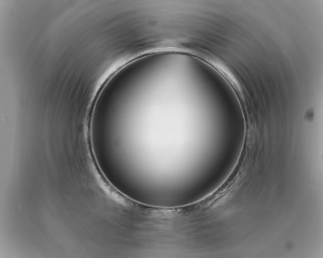 X0000090500813200707280000