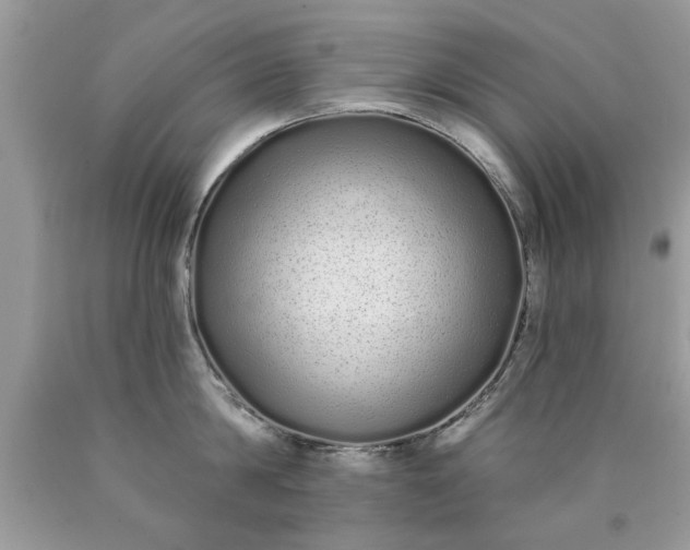 X0000090500814200707280000