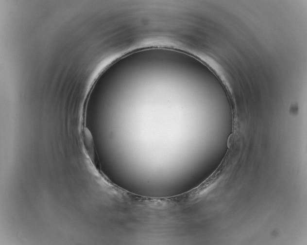 X0000090500815200707280000