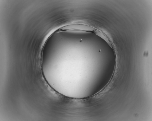 X0000090500816200707280000