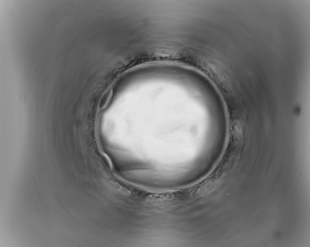 X0000090500817200707272359