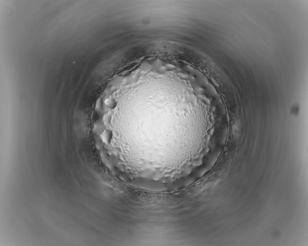 X0000090500819200707272359